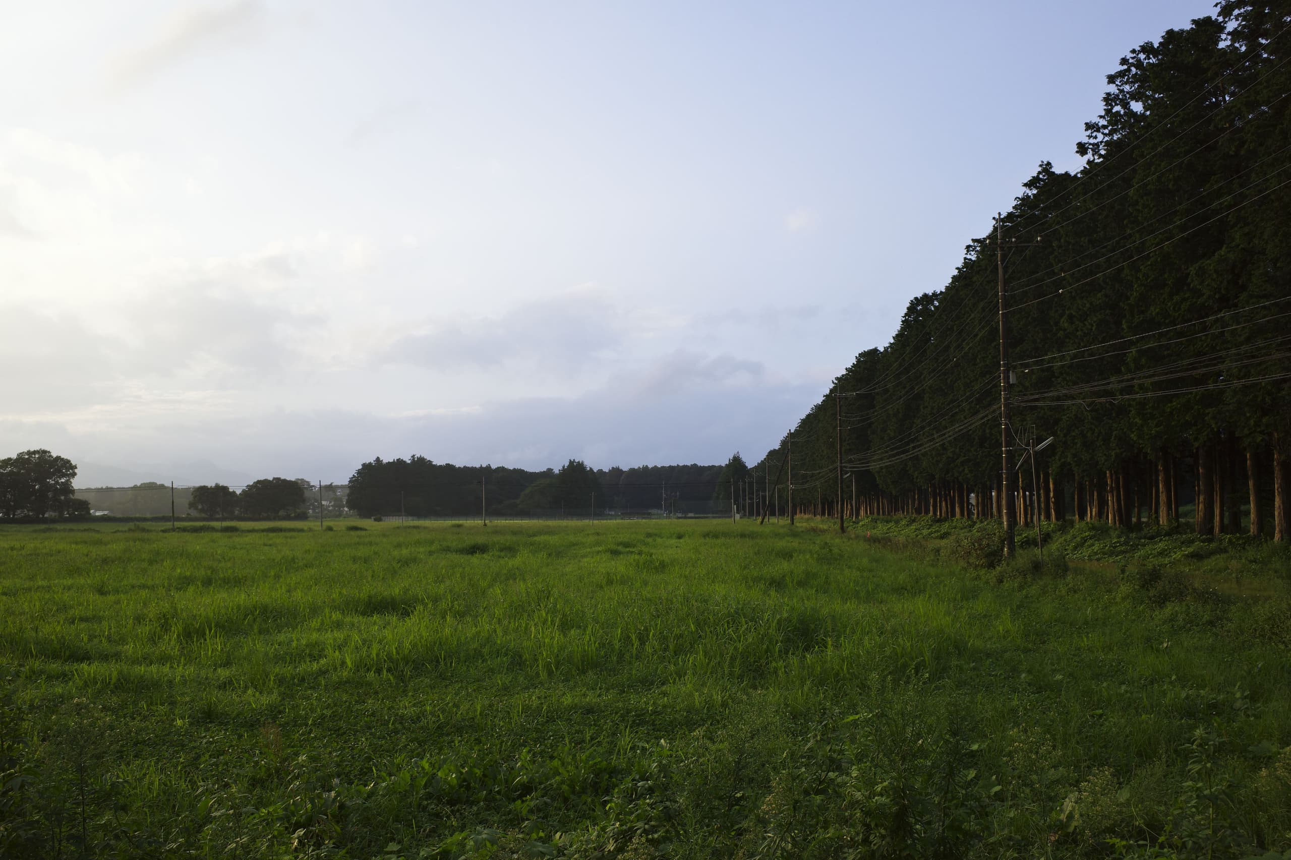 c5fae119-dd5f-4847-b38c-8545a6630f88.jpg